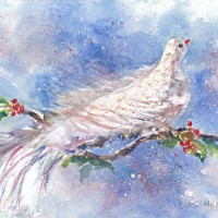 Peaceful Dove(No message)