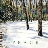 Sunday Snow - Peace